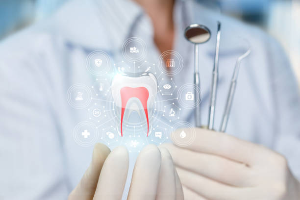 Best Preventive Dentistry  in Andover, MN